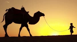 From ancient hub to modern marvel, the revival of Dunhuang