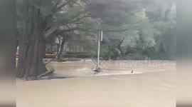 Spain: Firefighters and Guardia Civil Evacuate Seniors from Flooded Spa in Jaraba