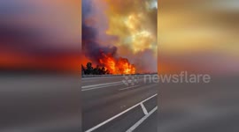 US: Fairmount Fire Near San Diego State University 80% Contained After Damaging Six Homes