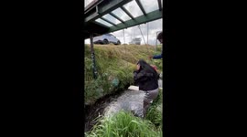 Woman attempts swing over stream but ends up wet in Riobamba