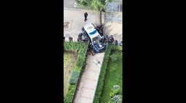 Wild boar evades police capture by leaping over car in Madrid