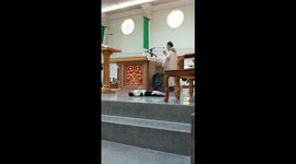 Cat joins priest during mass, charms attendees in Naic