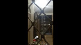 Python spotted in Cebu City home