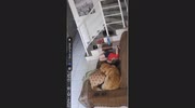 temp