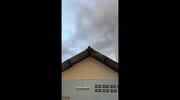 temp