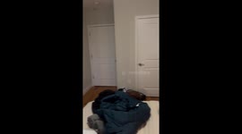 Airbnb guest reveals unexpected graveyard view in New Jersey