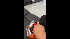 Bird enjoys hot cheetos with owner in Rialto, California