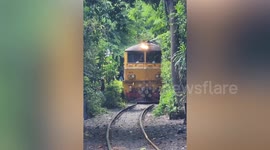 Daring dog has near miss with oncoming train when he runs along tracks