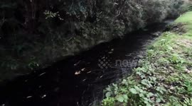 Japan: Japan's water quality haunted by U.S. military bases