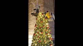 Workers put the finishing touches to a Christmas tree at Battersea Power Station ahead of busy Christmas season in London