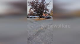 US: Voters Flood Early Polls on Election Day, Facing Hours-Long Lines in Northampton County