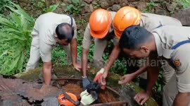 Firefighters rescue goat's kid trapped in 8-foot pit in southern India
