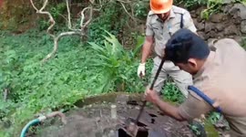 India: Firefighters rescue lamb trapped in 8-foot pit in southern India