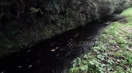 Japan: Japan's water quality haunted by US military bases