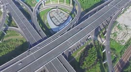 Foreign exhibitors see CIIE as platform for innovation, growth, and collaboration