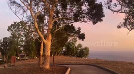 High Wind Impact in Santa Monica Mountains