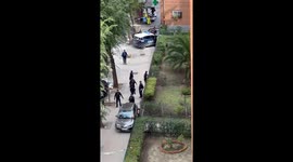 Police attempt to corner wild boar in Madrid's Puente de Vallecas