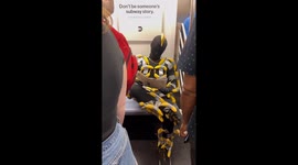 Person wears banana-covered outfit on subway in NYC