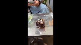 Person tries to drink from a slanted glass at Seoul's CCCS Salon