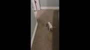 temp