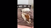 temp