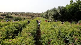 Syria: Syrian business seeks growth at CIIE amid Western sanctions