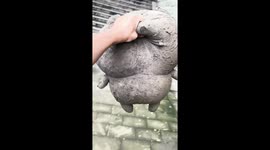 Dirty stuffed bear transformed into white toy after cleaning in Chengdu