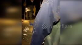 Spain: Valencia's Canine Teams Search for DANA Victims