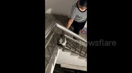 Cat Visits Neighbor's House for Playdate, Clings to Railing and Refuses to Go Home