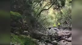 Italy: Firefighters Save Woman Trapped in Car Wreck