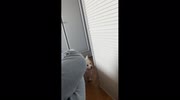 temp