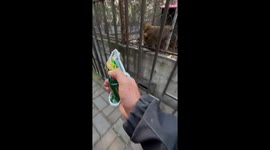 Monkey reacts aggressively in Liaoning, China