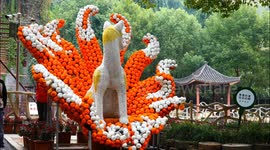 China: A Pumpkin Art Festival in Yichang
