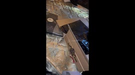 Into the bedroom. Bed bugs or roaches?