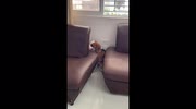 temp