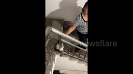 Playful cat sneaks off to visit neighbour's feline before clinging to railing and refusing to go home