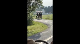 Bicycle vehicle veers off road during outing in Guangxi, China