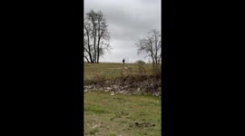 Henry the Donkey Runs Down Hill In Record Time