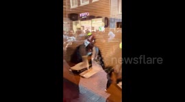 Netherlands: Dutch police cruelly beat up Palestine supporters during a demonstration organized to defy the ban by Amsterdam mayor on pro-Palestine rallies