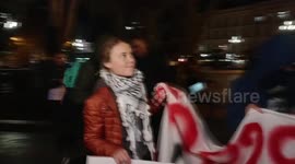 Georgia: Greta Thunberg held a protest in Tbilisi against COP29