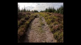 Lakehead Hill Cairn Circles, Cists and Settlements. Dartmoor National Park Devon