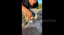 Model maker earns thousands crafting nostalgic miniature homes using just foam and wood