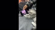 temp