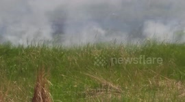 Russian fields on fire