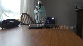 Joey And The Evil Budgies.  Vocal track version.