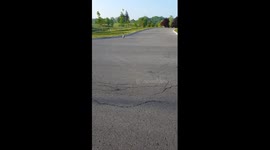Goose attempts to attack woman in carpark