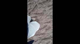 Quiet and muddy start to Thursday at Glastonbury