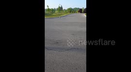 Goose attempts to attack woman in carpark