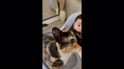 temp