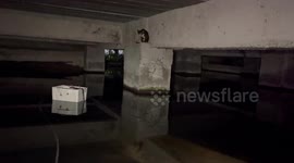 Paramedics rescue cat stranded under building